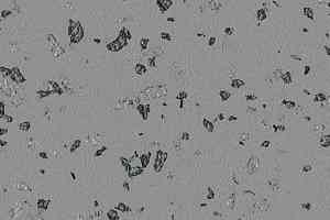 Линолеум Taralay Premium Poesy 2751 Slam фото  | FLOORDEALER